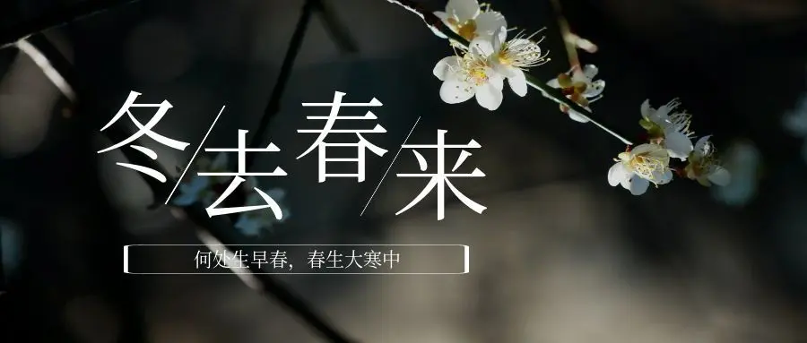 Guarding Warmth in Major Cold, Creating the Future with Wisdom — Yixinfegan Embarks on a New Journey with Craftsmanship and Warmth