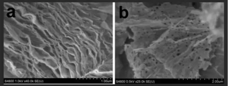 Core Segment Product Series42ryc