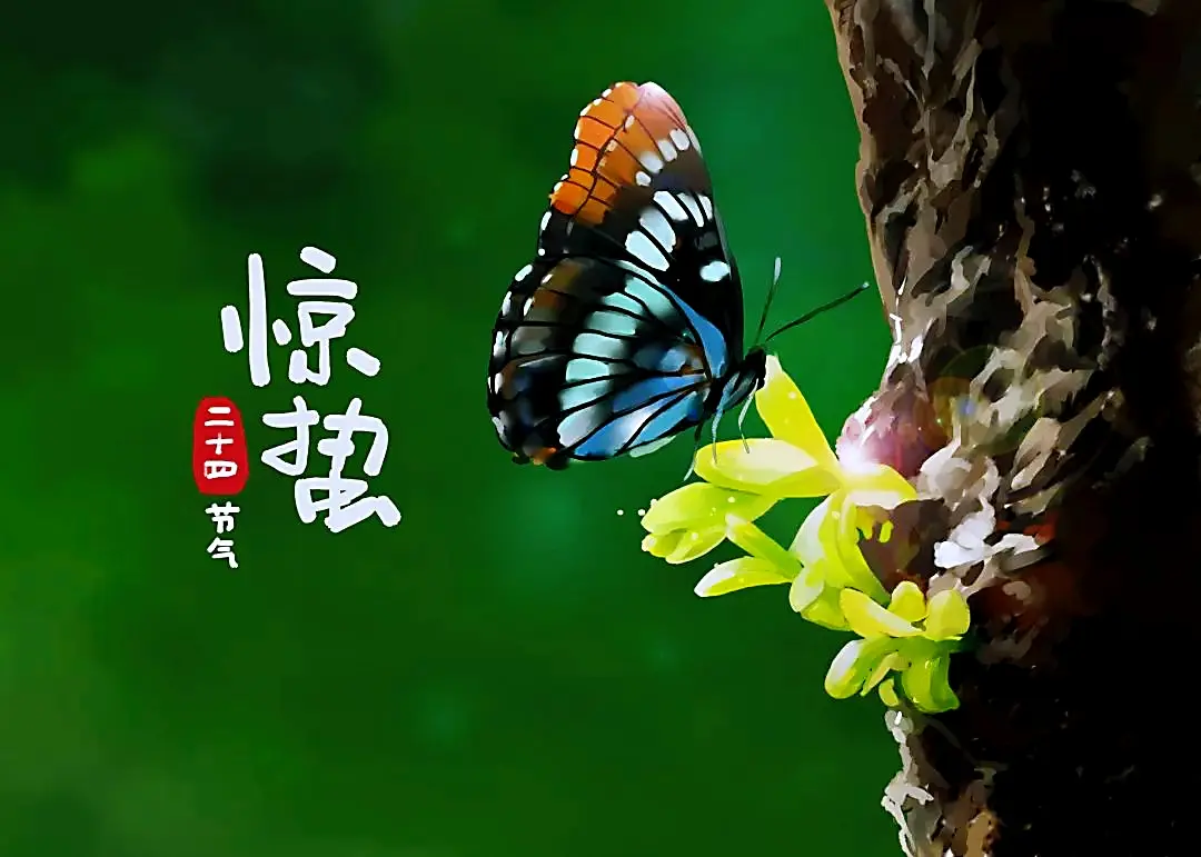 Awakening of Insects | Spring Thunder Breaks the Silence, Deep Cultivation Promises Abundance