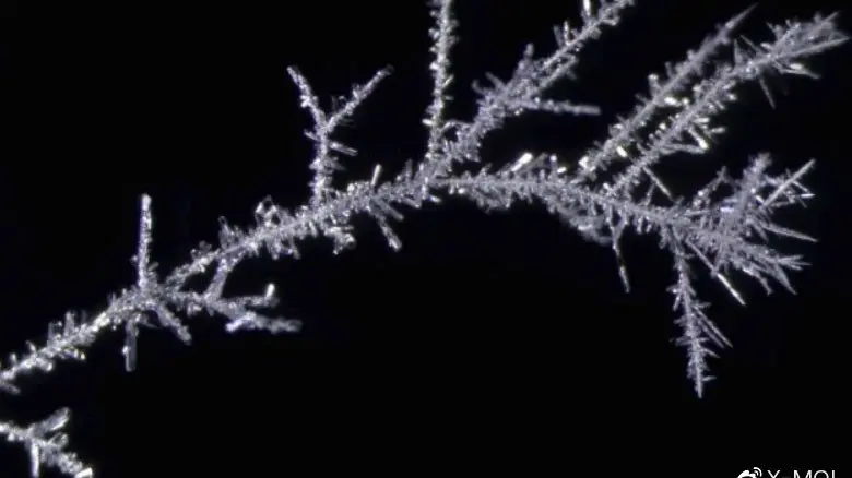 A Complete Guide to Lithium Plating in Lithium Batteries: Why Does Your Battery Grow "Metal Spikes"?Lithium - Ion Battery Equipment