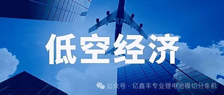 Low-altitude Economy: An Emerging and Comprehensive Economic Format